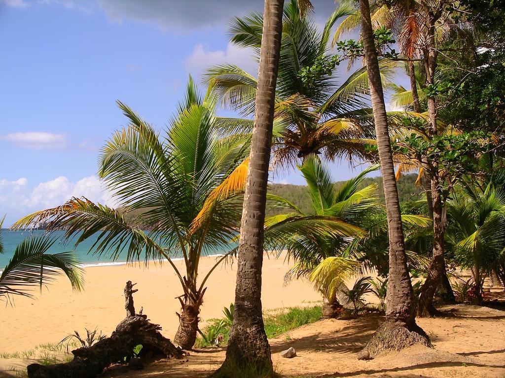 Mangoplaya Villa Десе Екстериор снимка