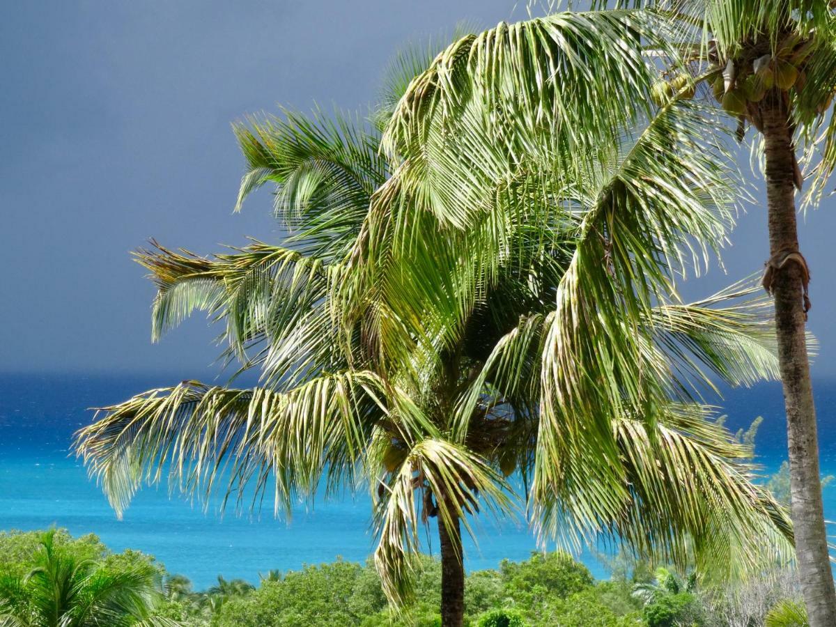 Mangoplaya Villa Десе Екстериор снимка